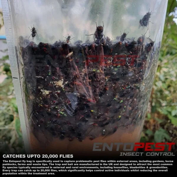 Eradisect Fly Trap Bag